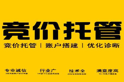 成功案例：SEM托管公司助力企业快速拓展市场